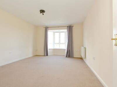 Picture 7